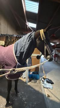 Review image Review image