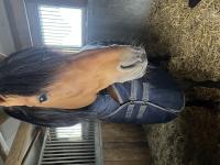 Review image Review image