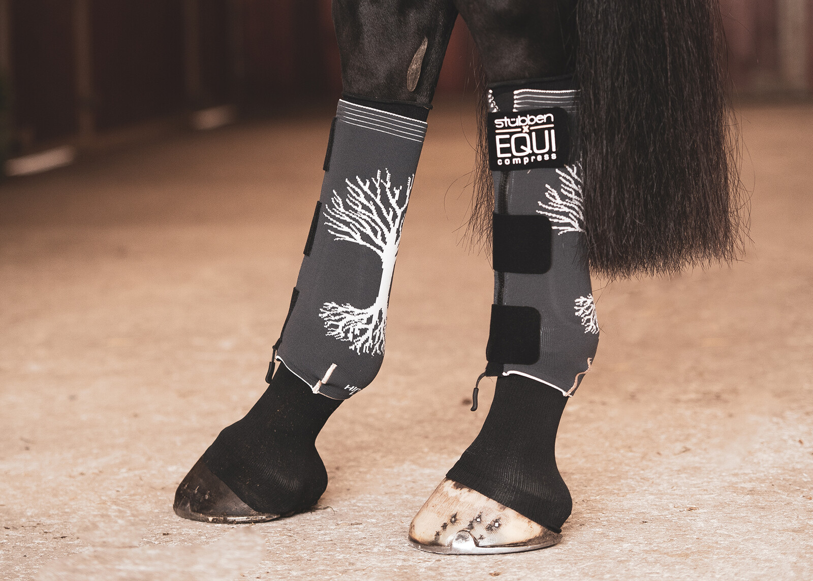 Stübben EQUI Compress – Compression avancée pour la récupération équine