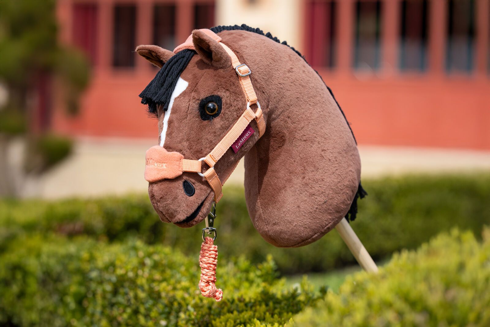 Tout savoir sur les Hobby Horses