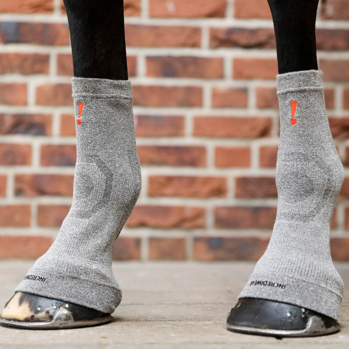 Merk uitgelicht: Incrediwear Equine