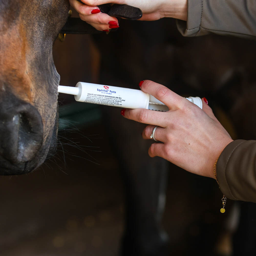 Zit jouw paard niet lekker in zijn vel? Equivital helpt jou!