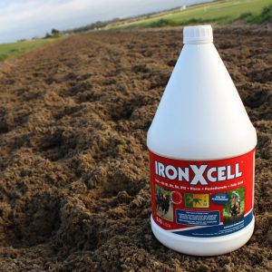 Wat maakt de TRM IronXcell zo bijzonder?