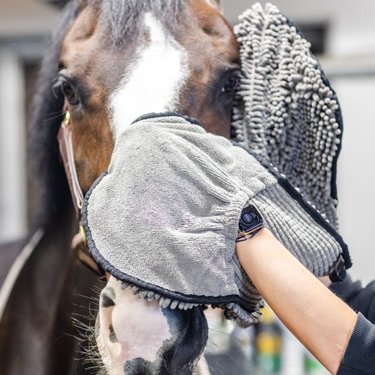 Zhiviq Quick dry towel head