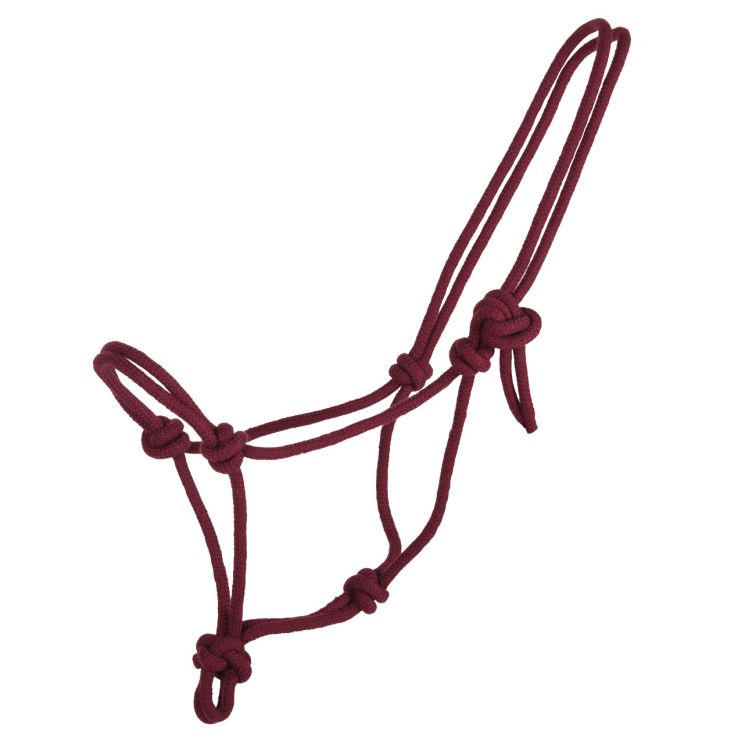 QHP Touwhalster basic