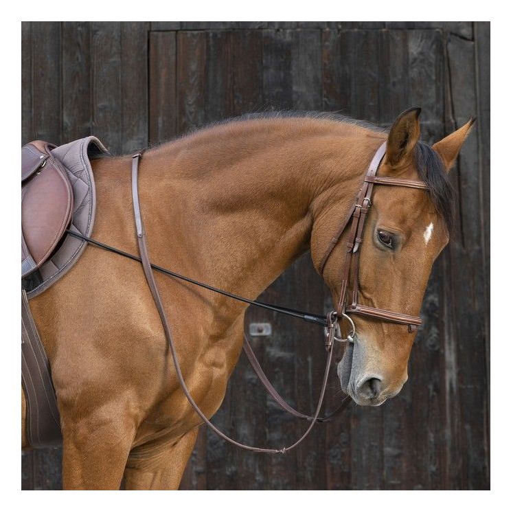 Norton Training Aid Adjustable 