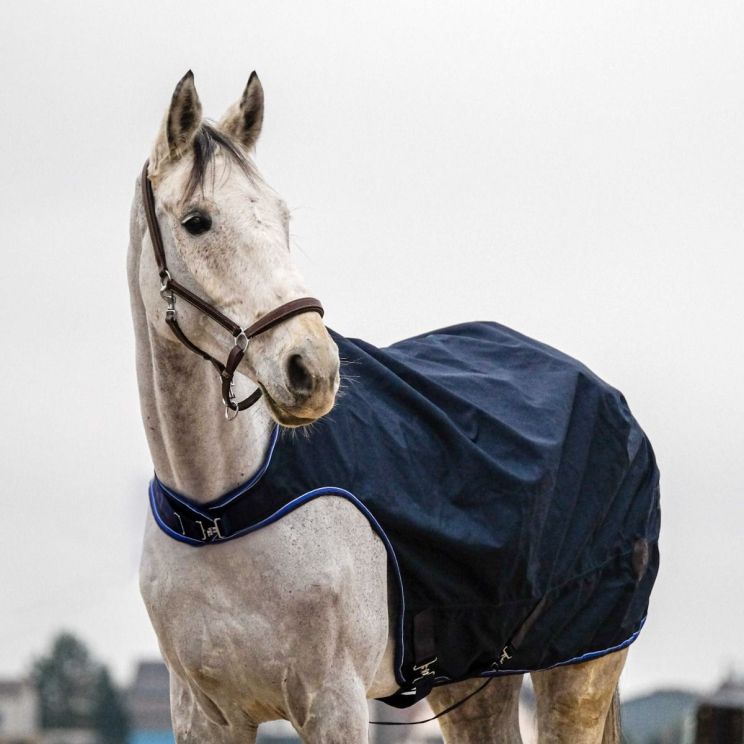 Equithème Walker Rug 1200D