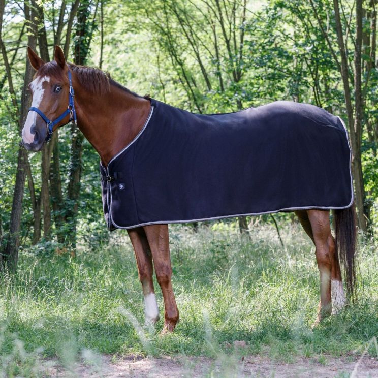 Riding World Fleece Rug Polar
