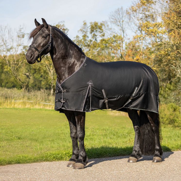 QHP Winter Regendeken turnout Big neck 150gr