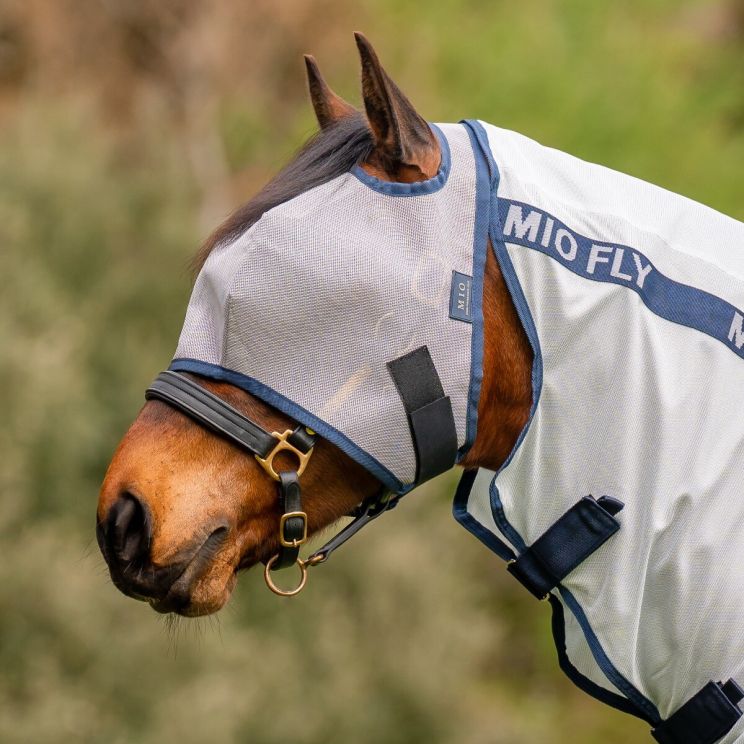 Amigo Mio Vliegenmasker