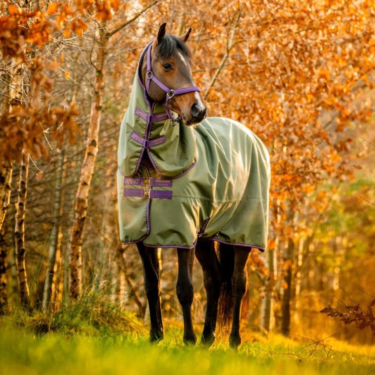 Amigo Hero Ripstop Plus 100 gr Bramble Winterberry