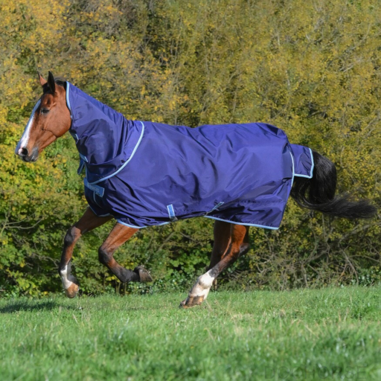 Atlantic Exclusive 150 & Neck