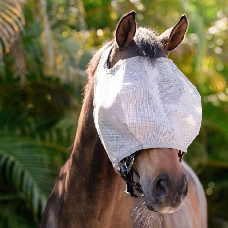 Amigo Fly Mask No Ears