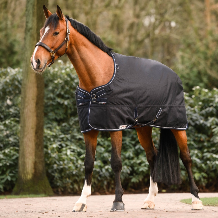 Dominick Outdoor Rug Heavy