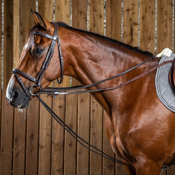 Rênes allemandes en cuir Dy'on 