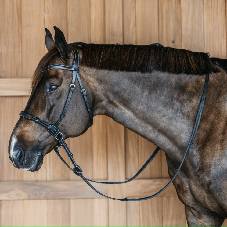 Dyon Bitless Bridle Black