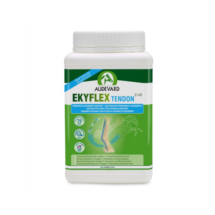 audevard ekyflex tendon evo