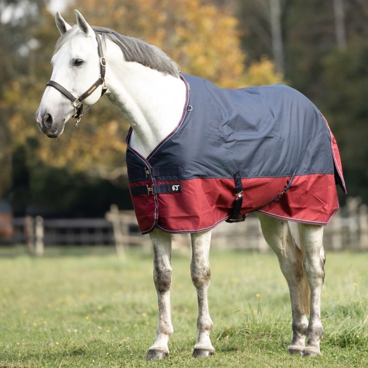 Equitheme Turnout Rug