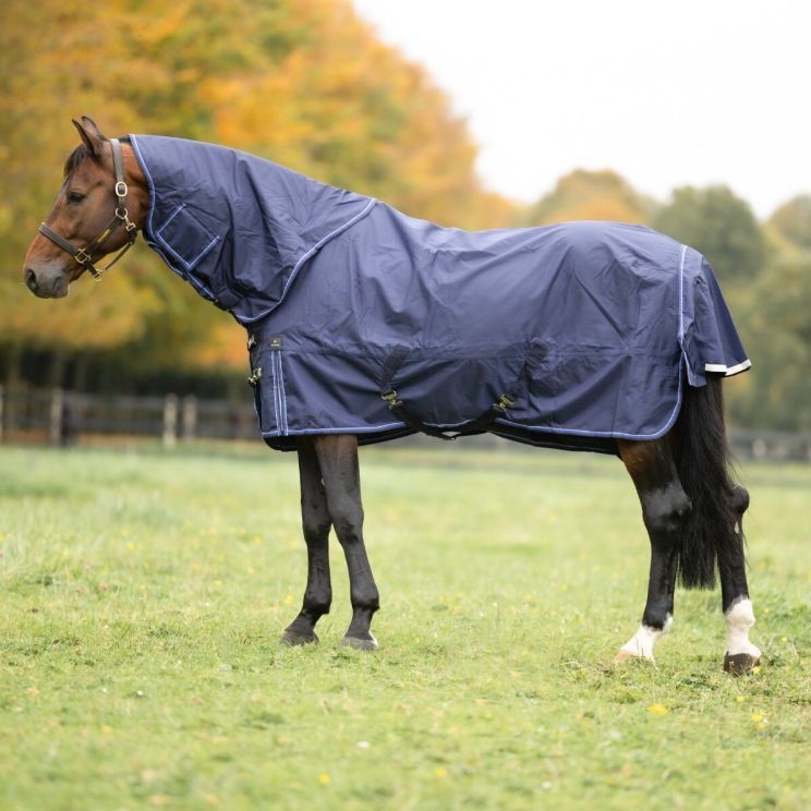 Equitheme Turnout Rug Tyrex 220 g