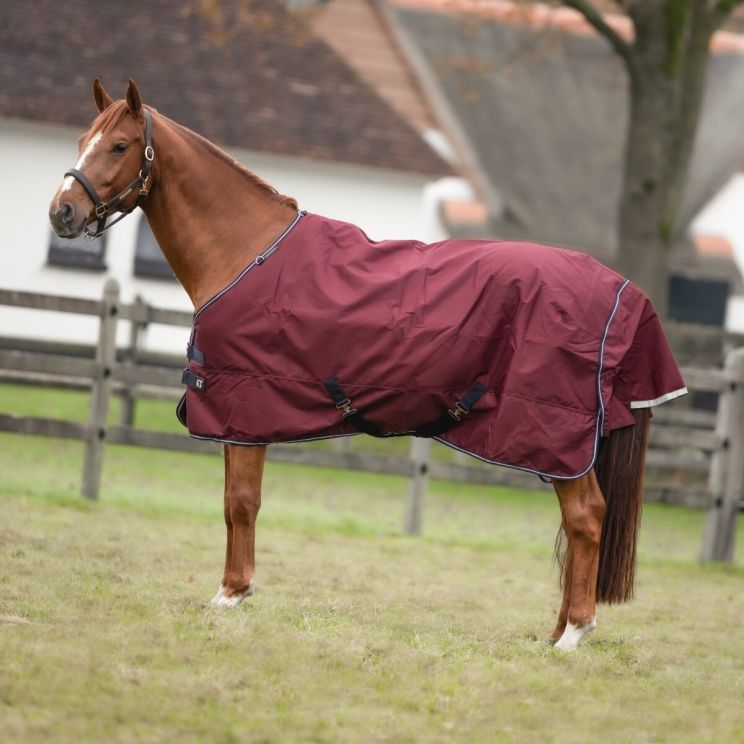 Equithème Turnout Rug 1200D Tyrex 50 G