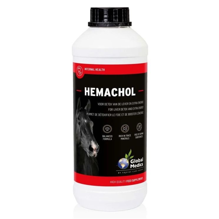 Global Medics Hemachol