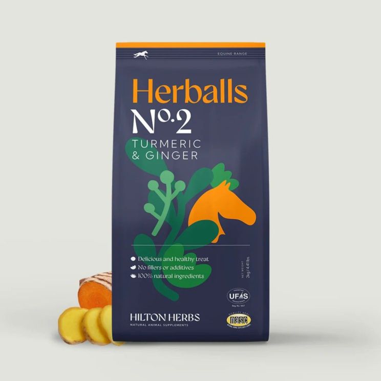 Hilton Herbs Herballs Turmeric & Ginger