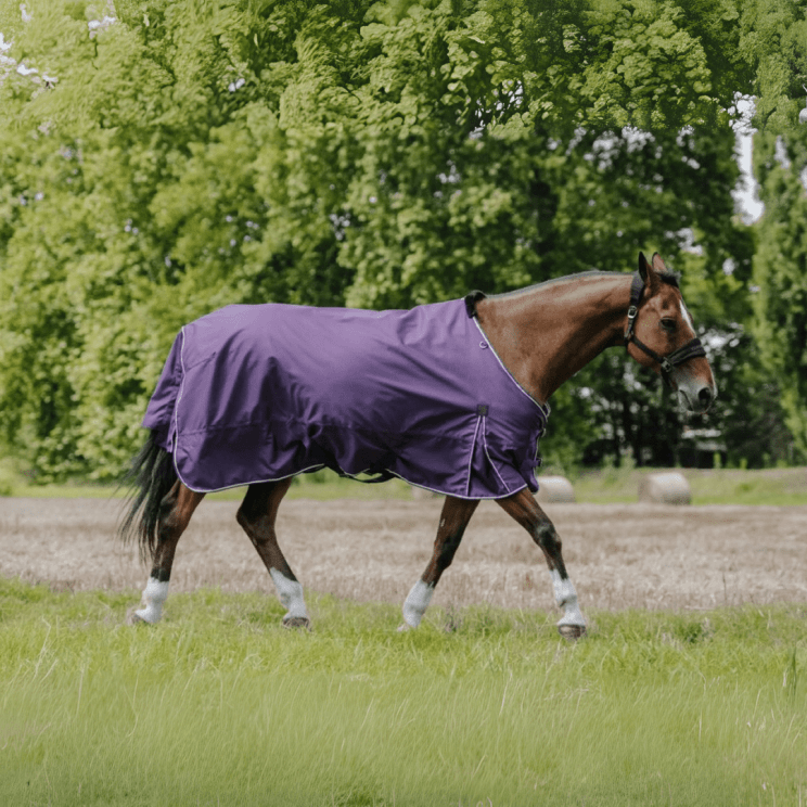 Equithème Turnout Rug Tyrex Aisance 600D 50g