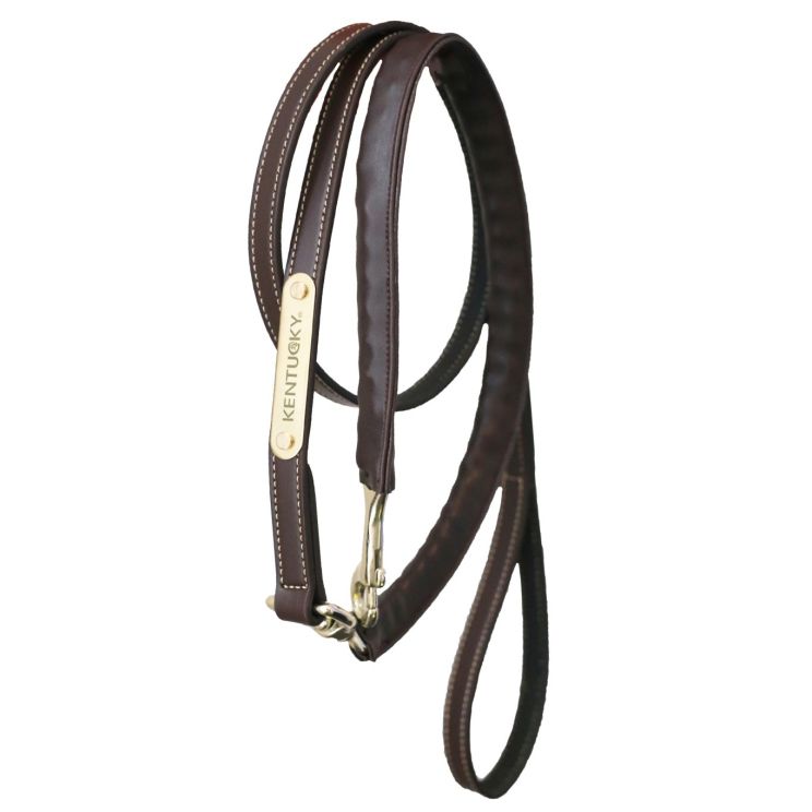 Kentucky Leadrope with Chain