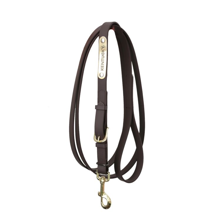 Kentucky Presentation Lead