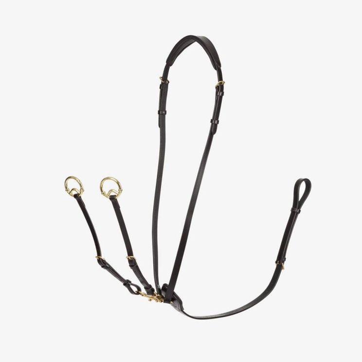 Martingale LeMieux Kudos