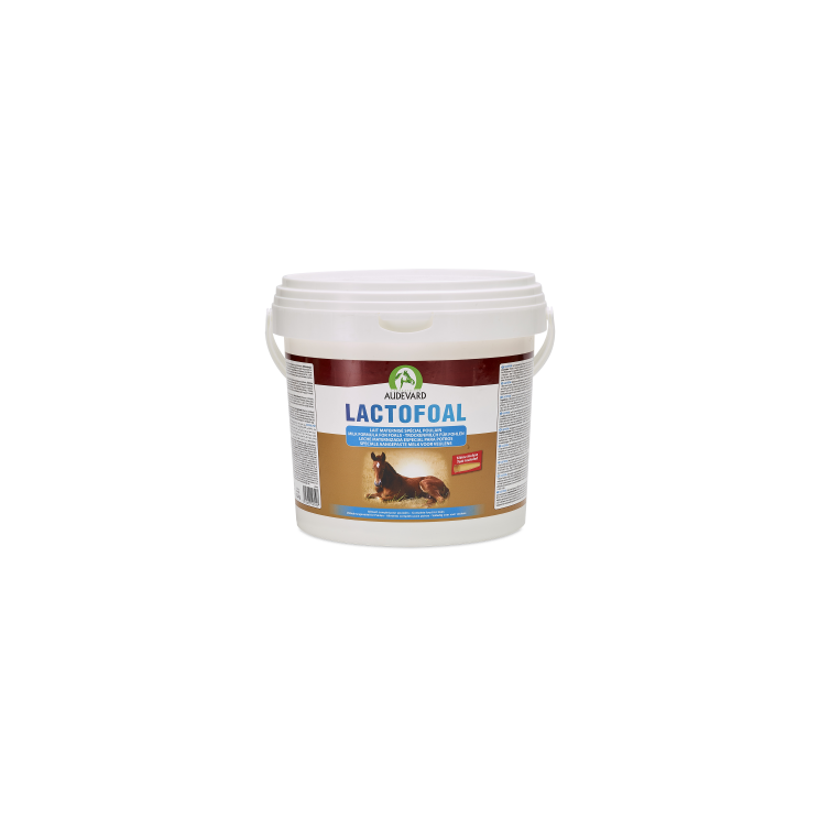 Audevard Lactofoal