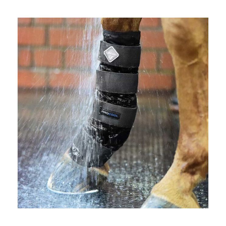 Lemieux Procool Cold Water boots