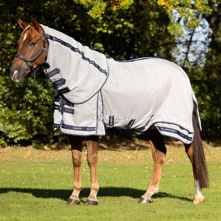 Cloison de terrain pour terrains de sport avec tapis à double tige