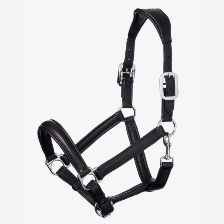 Lemieux Headcollar Anatomic Leather Black