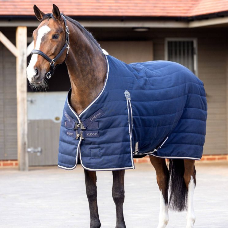 Lemieux Kudos Stable Rug 100g