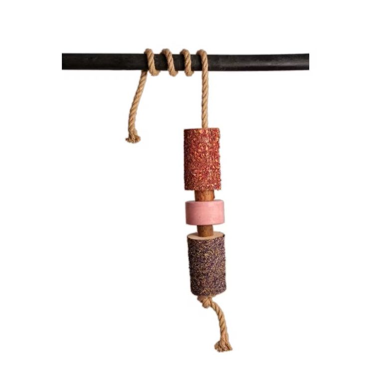 Kentucky Wooden Toy with Salt Lick Sammy