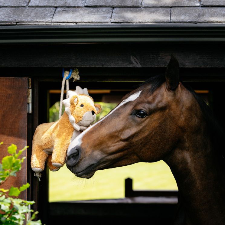 LeMieux Pluche Paardenspeeltje Leeuw met ophanglus van touw