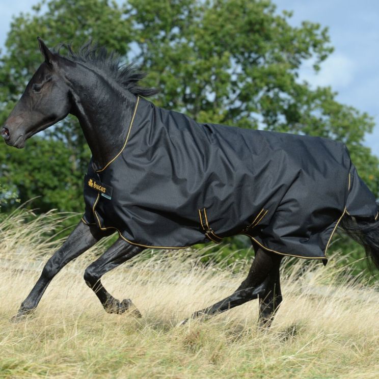 Bucas Irish Turnout High Neck 300GR