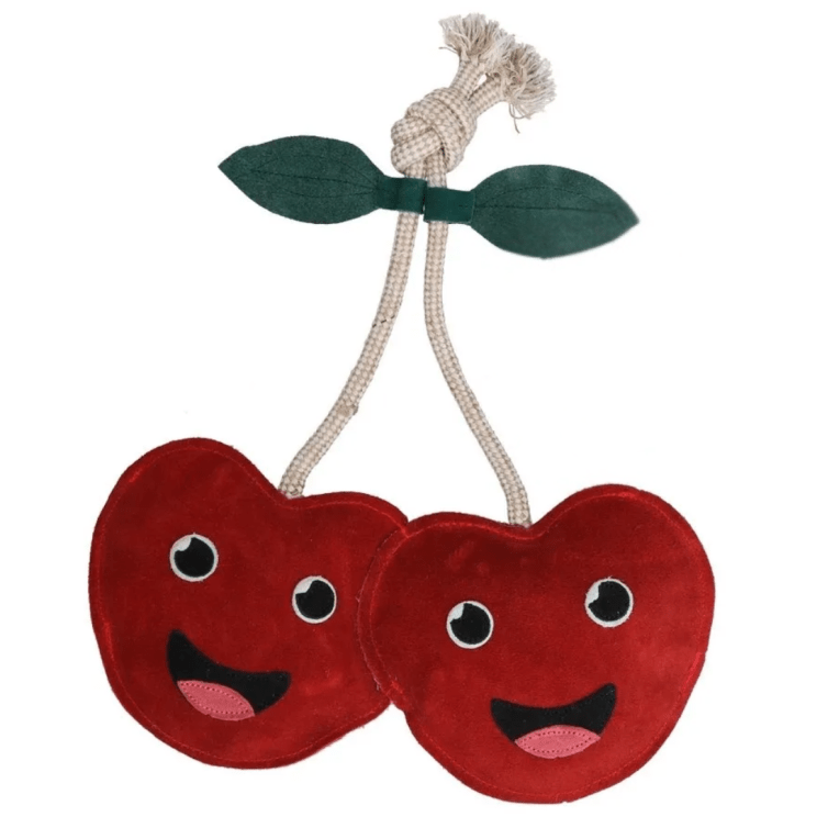 Excellent Horse Foodie Friends Cherry