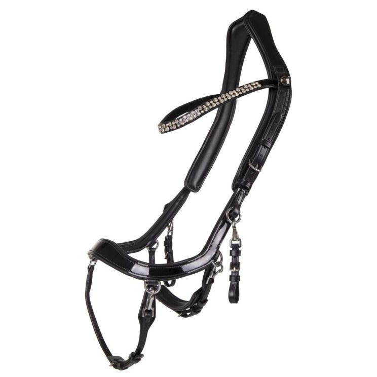 PresTeq Bridle Faysport Shine