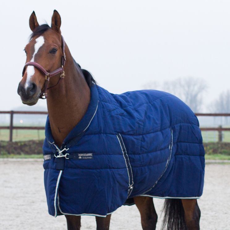 Rambo Cosy Staldeken