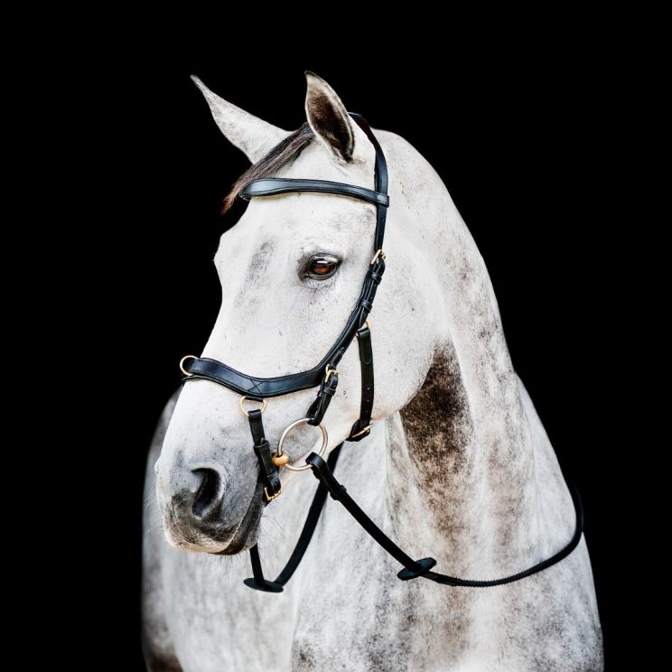 Horseware Micklem 2 Multi Hoofdstel