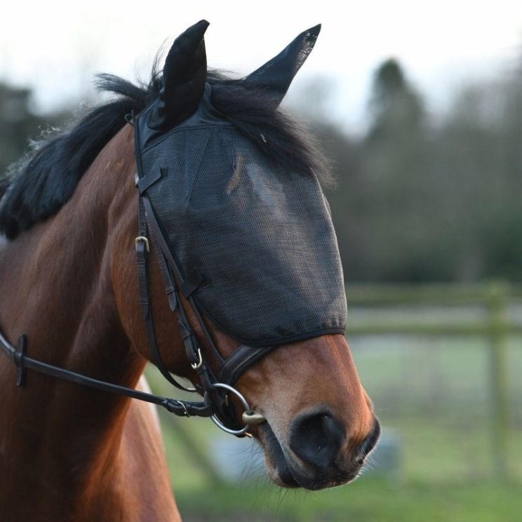 Equilibrium Net Relief Riding Mask