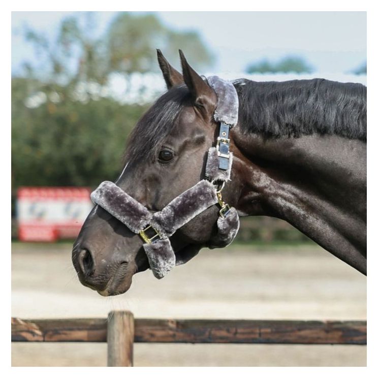 Bucas Show-Line Full Fur Halter