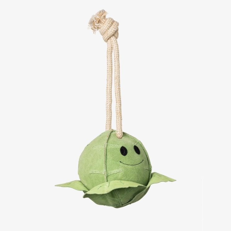 Lemieux Paardenspeeltje Sprout
