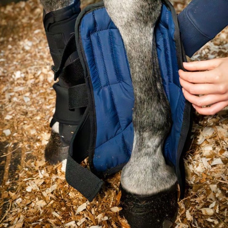 Horseware Stable Boot Ionic Liner