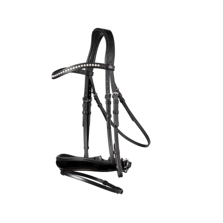 TRUST Hoofdstel Rotterdam Zwart-Zwart
