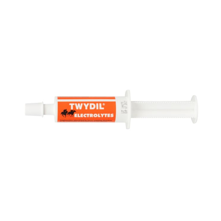 Twydil Electrolytes Pasta