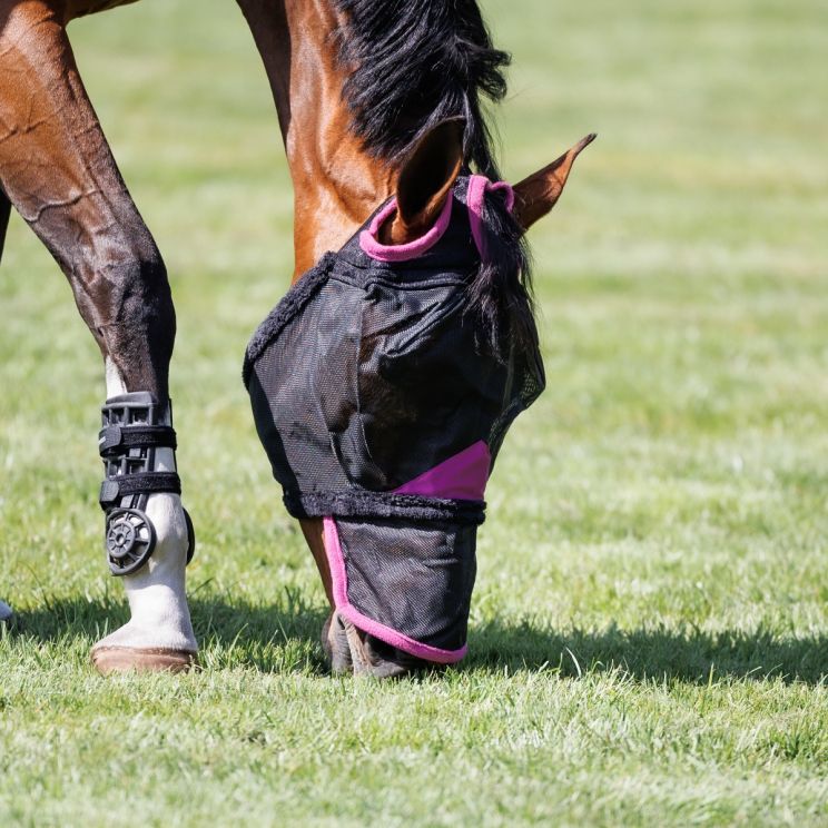 Weatherbeeta vliegenmasker