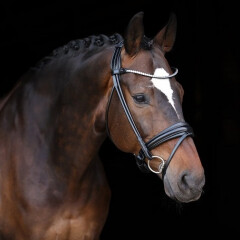LJ Leathers Dressage bridle Stellux Rolled Leather